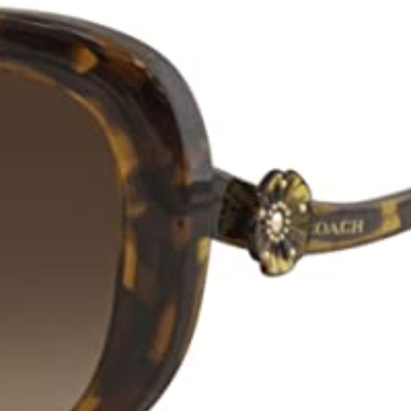 COACH Sunglasses HC8263 - Picture 4 of 7